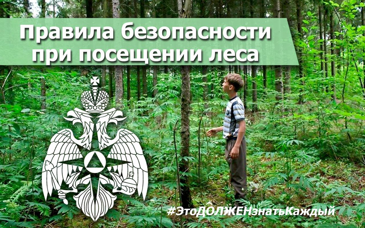 Спасатели призывают жителей региона следовать правилам безопасности при посещении леса.
