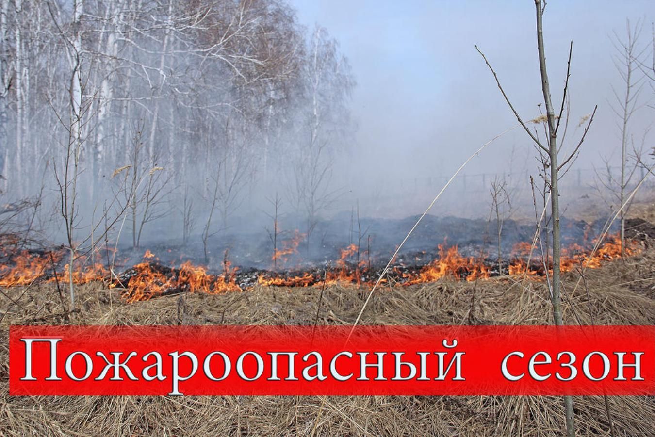 О начале пожароопасного сезона 2024 года на территории Томской области.